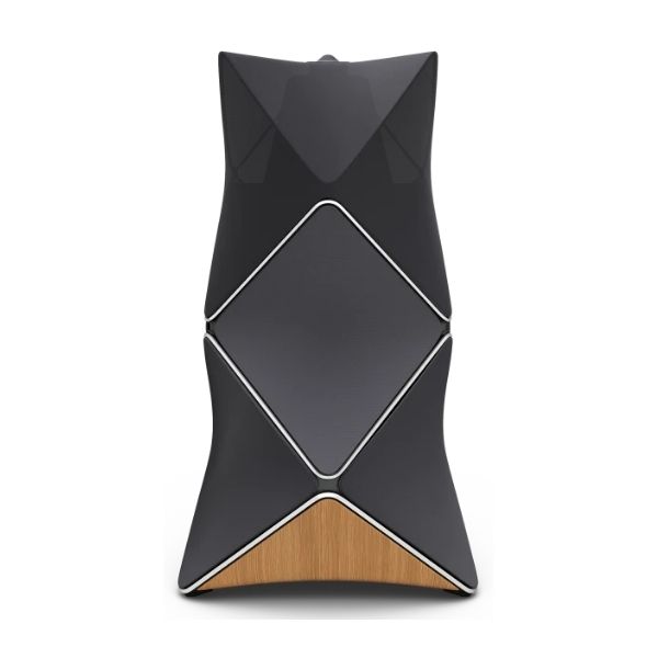 BangOlufsenBeolab90SilverBlack.jpg